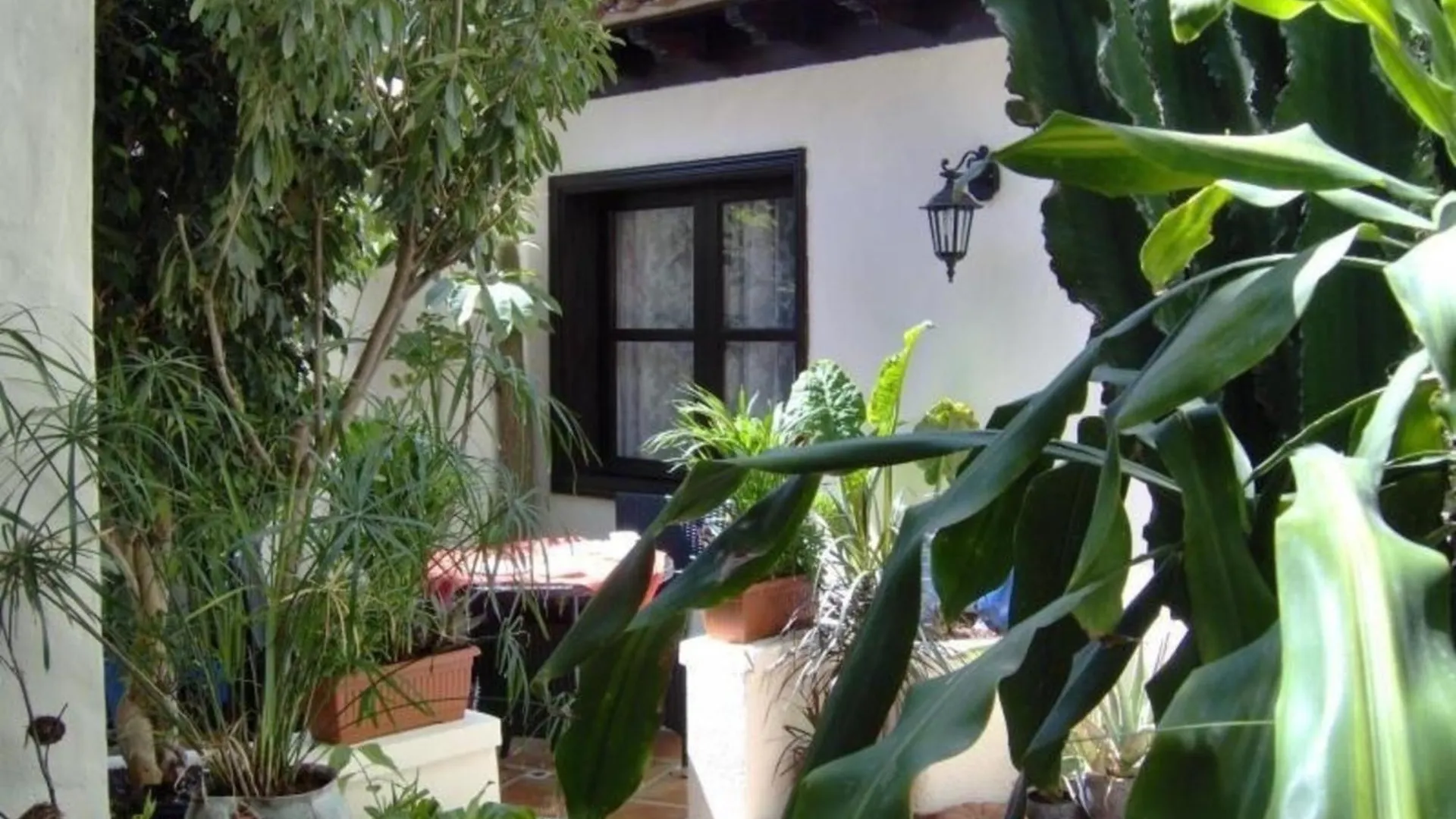 Apartment Studio Fuer 1 Personen Ca 15 M In Icod De Los Vinos, Teneriffa Nordkueste Von Teneriffa