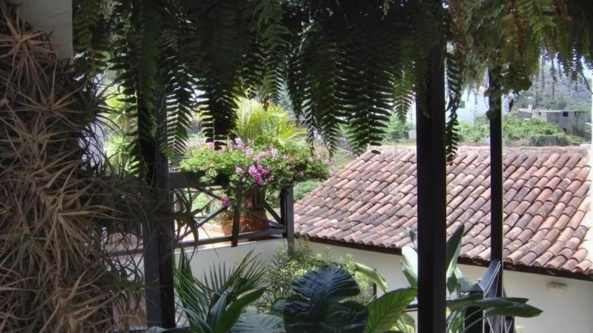 Studio Fuer 1 Personen Ca 15 M In Icod De Los Vinos, Teneriffa Nordkueste Von Teneriffa Apartment