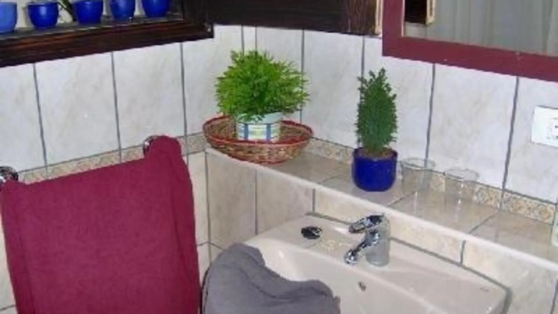 Studio Fuer 1 Personen Ca 15 M In Icod De Los Vinos, Teneriffa Nordkueste Von Teneriffa Apartment