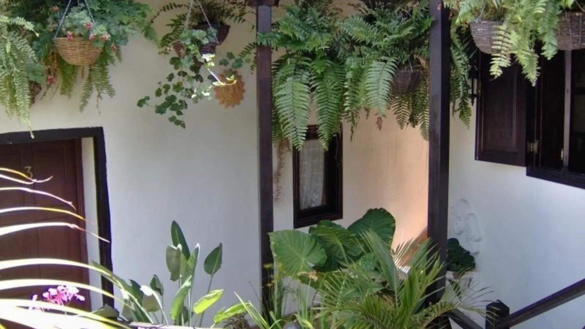 Studio Fuer 1 Personen Ca 15 M In Icod De Los Vinos, Teneriffa Nordkueste Von Teneriffa